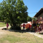 2017-07-17-Campamento Trueba (266) [1024x768]